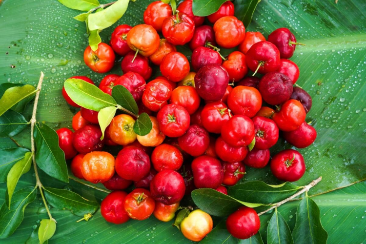 6 benefícios da acerola para a saúde e como usá-la