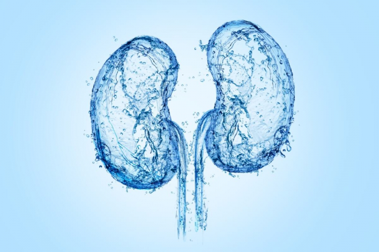 Veja os sintomas e como prevenir o câncer renal