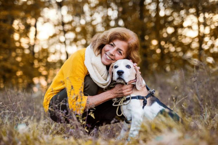 10 cuidados com os cachorros idosos durante os passeios