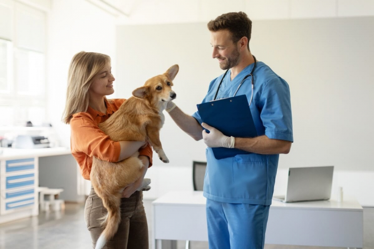 10 perguntas para fazer ao veterinário na primeira consulta