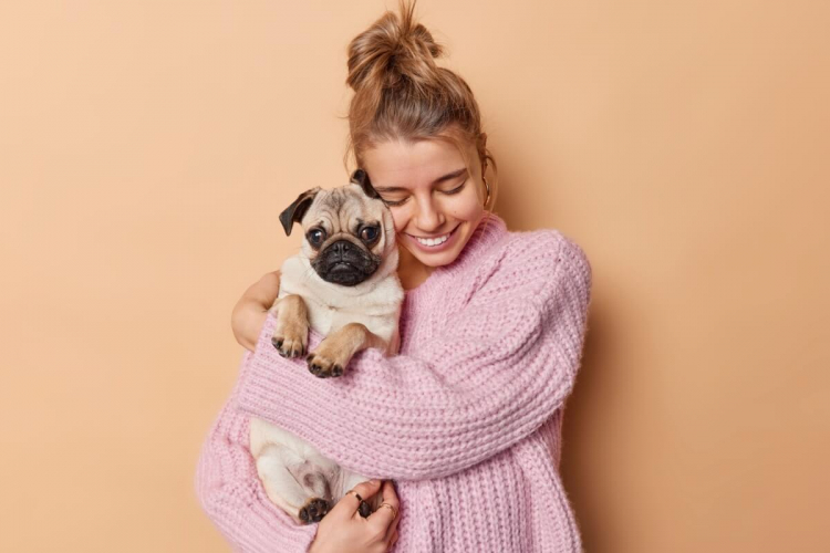 8 raças de cachorro mais dóceis
