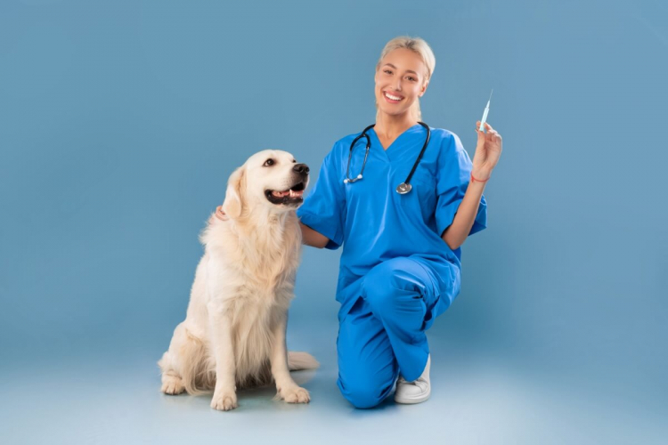 5 dicas para vacinar seu pet sem comprometer o orçamento