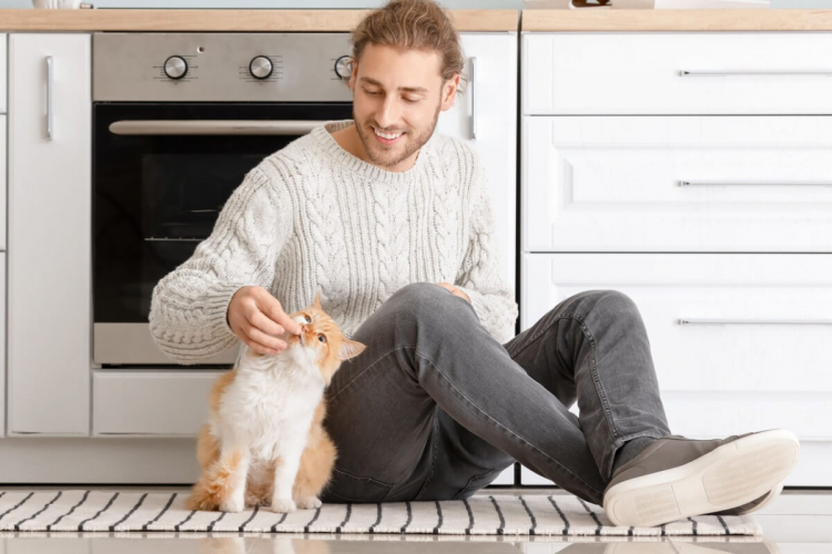 7 maneiras eficientes de chamar o gato