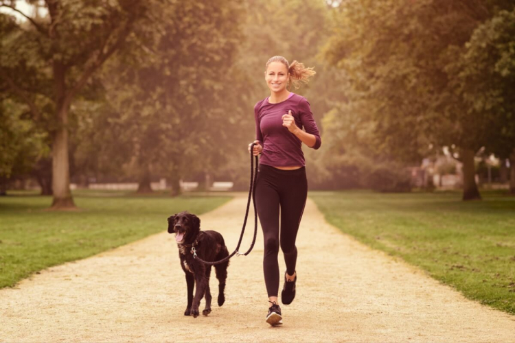8 dicas para começar a praticar corrida com o cachorro
