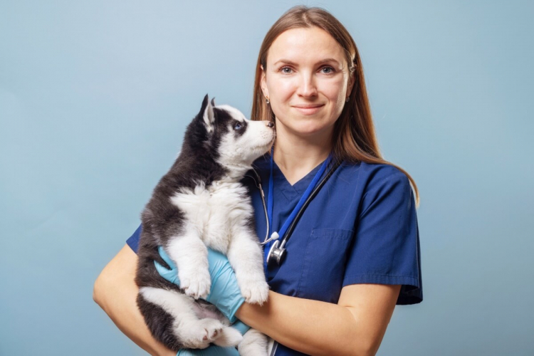 8 doenças comuns em filhotes de cachorro e gato