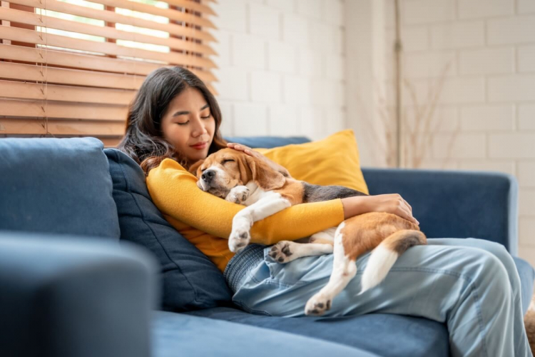 10 nomes para cachorros tranquilos