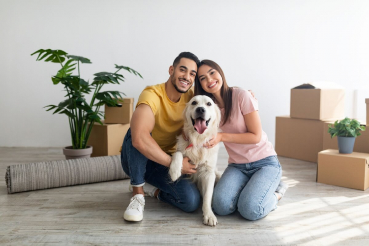 7 dicas para o animal se adaptar com a mudança na rotina 